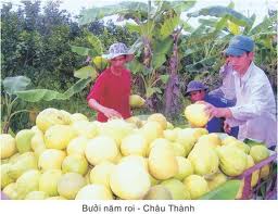 ທ່ານນາງ Nguyen Thi Doan ພົບປະກັບບັນດາຄອບຄົວກະສິກອນ ທຳການຜະລິດ​ເກັ່ງ